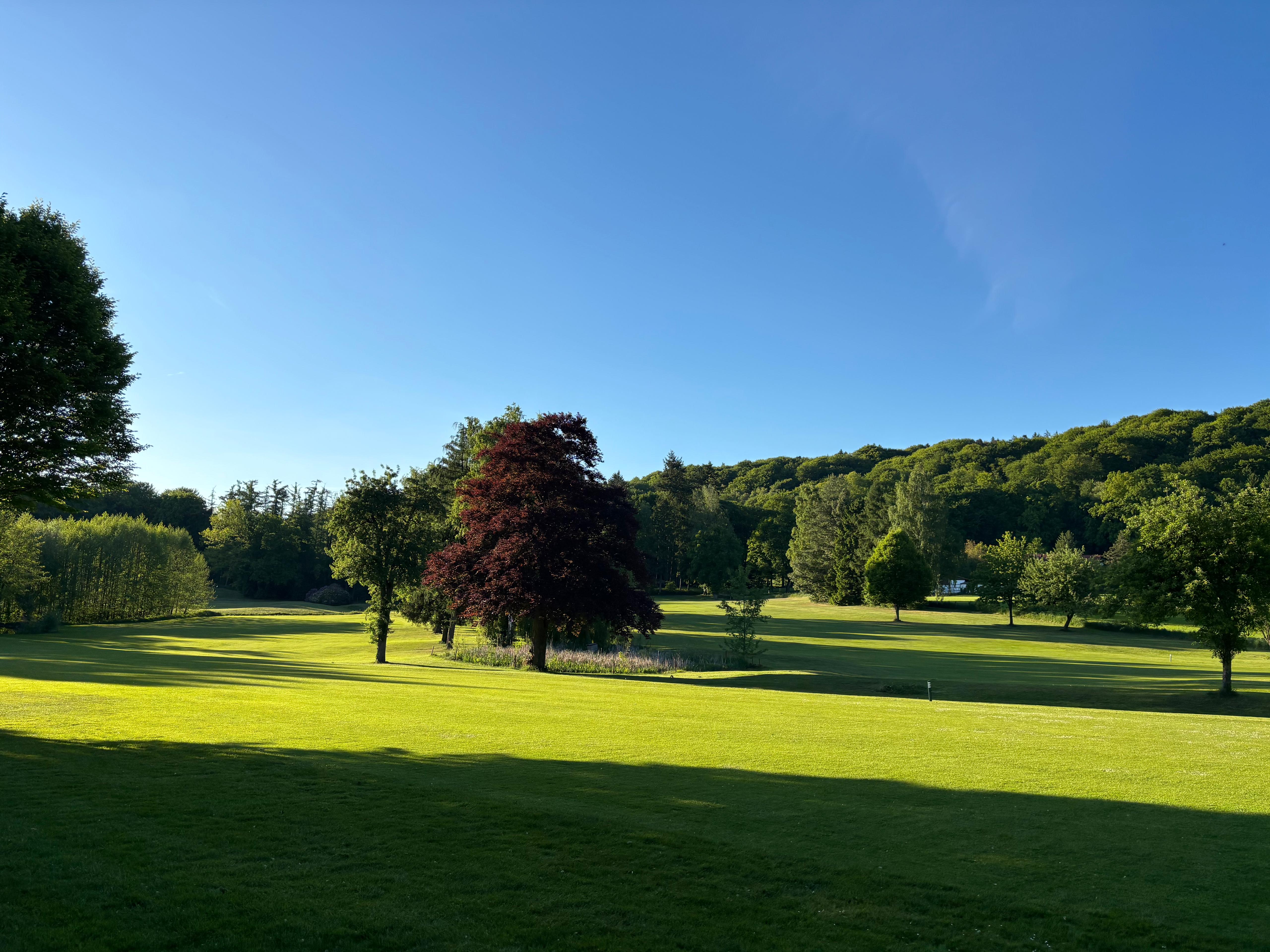 Christina Dinkelborg